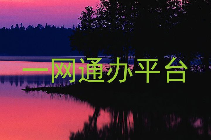 一网通办平台