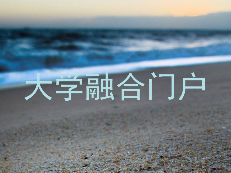 大学融合门户