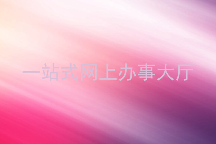 一站式网上办事大厅