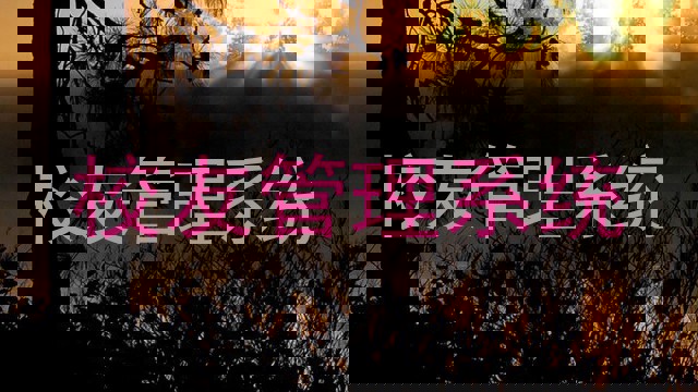 校友管理系统