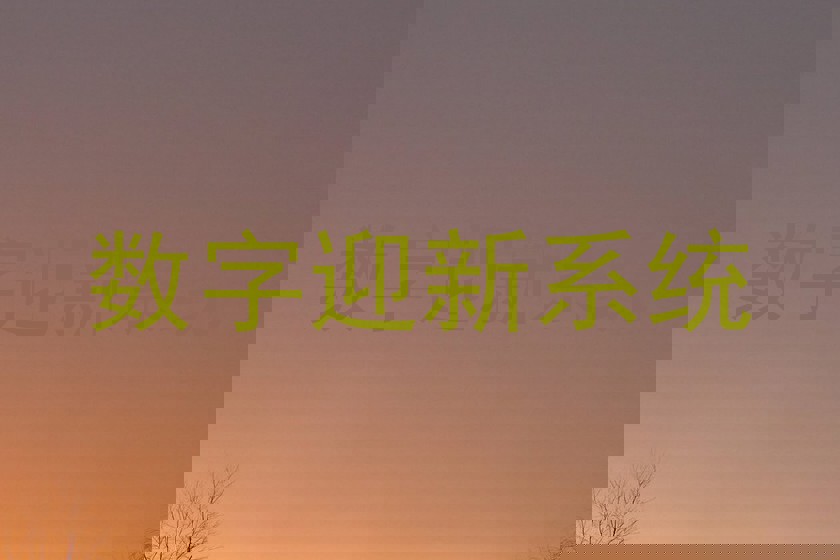 数字迎新系统