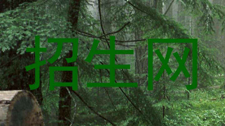 招生网