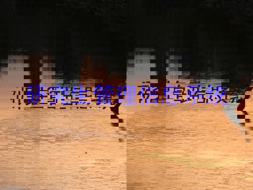 研究生管理信息系统