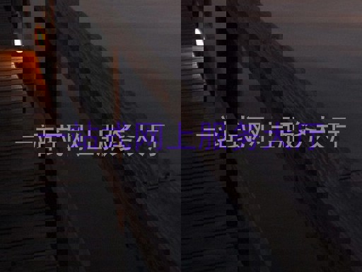 一站式网上服务大厅