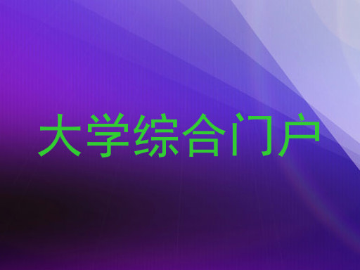 大学综合门户
