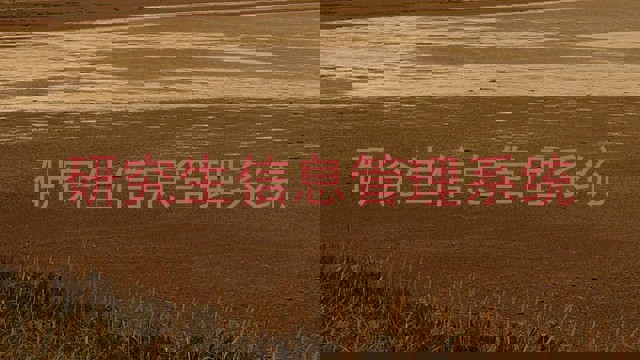 研究生信息管理系统