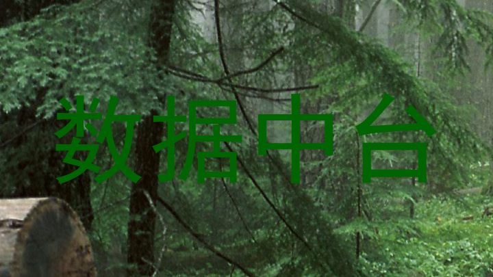 数据中台