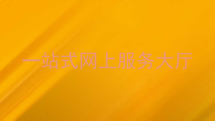 一站式网上服务大厅