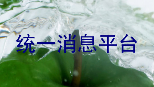 统一消息平台