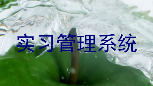 实习管理系统