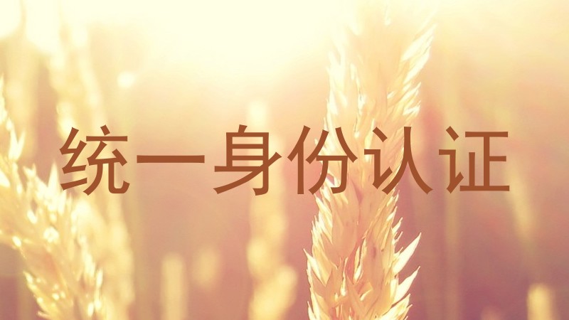 统一身份认证