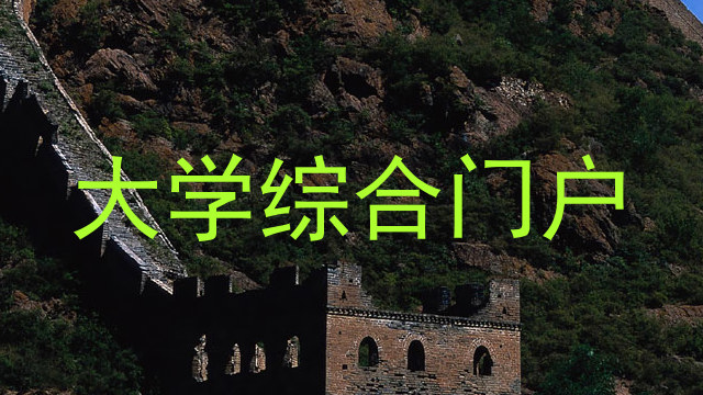 大学综合门户