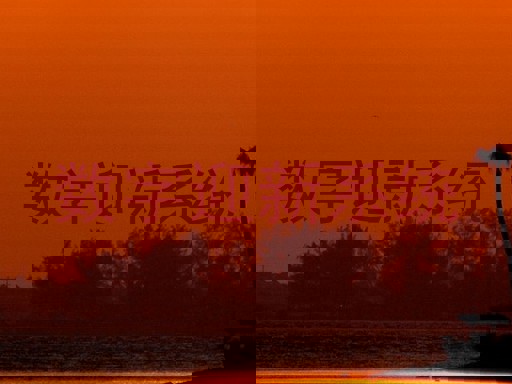 数字迎新系统