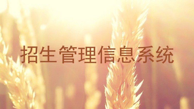 招生管理信息系统