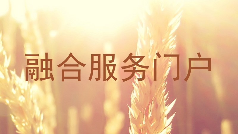 融合服务门户