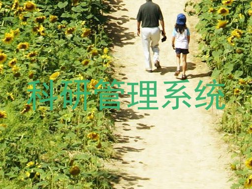 科研管理系统