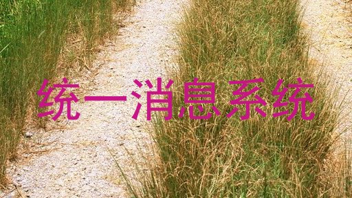 统一消息系统