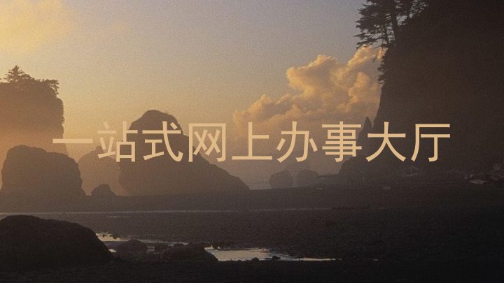 一站式网上办事大厅