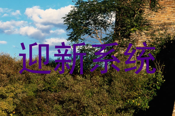 迎新系统