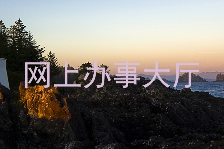 网上办事大厅