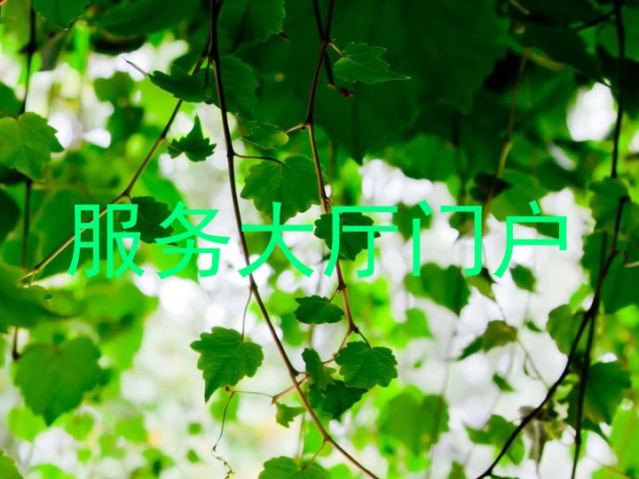 服务大厅门户