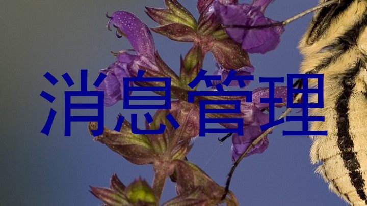 消息管理