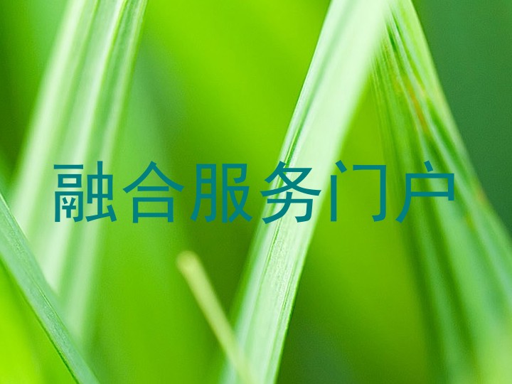 融合服务门户