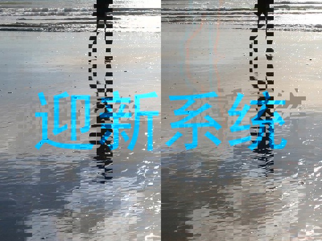 迎新系统
