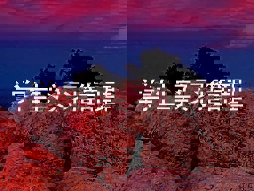 学生实习管理