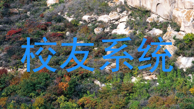 校友系统