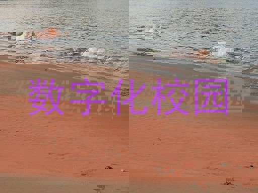 数字化校园