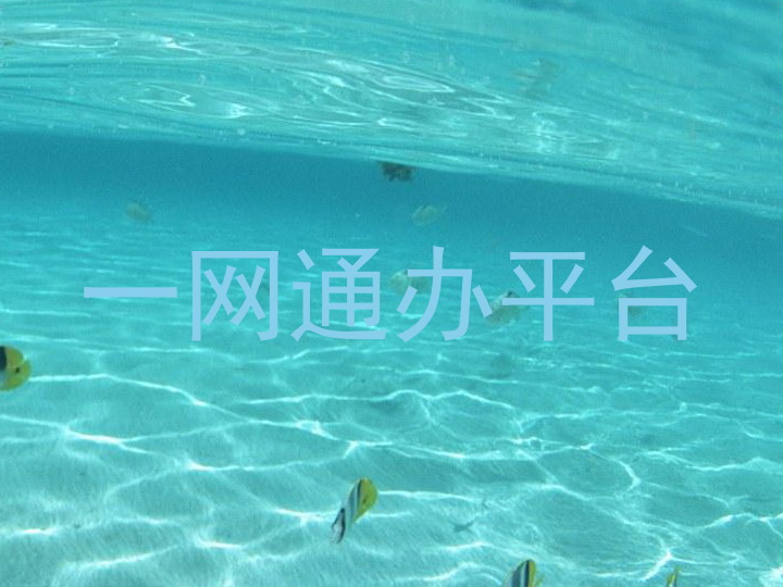 一网通办平台