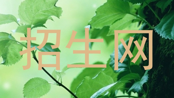 招生网