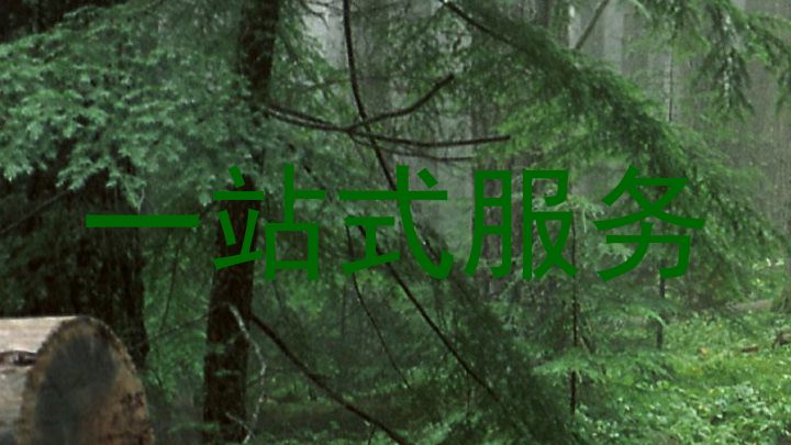 一站式服务