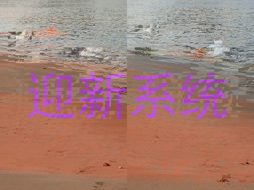 迎新系统