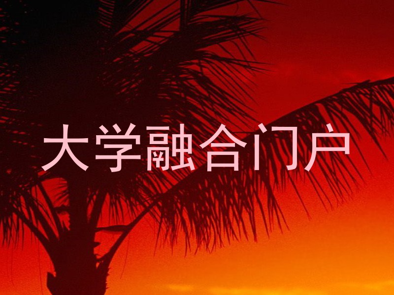大学融合门户