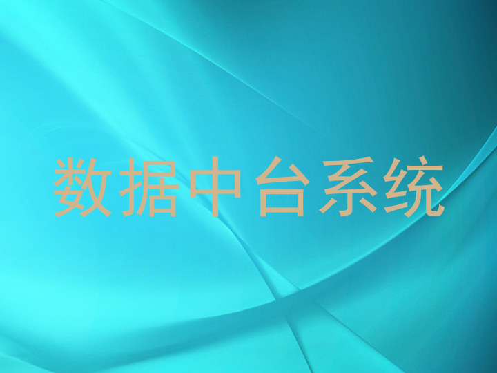 数据中台系统