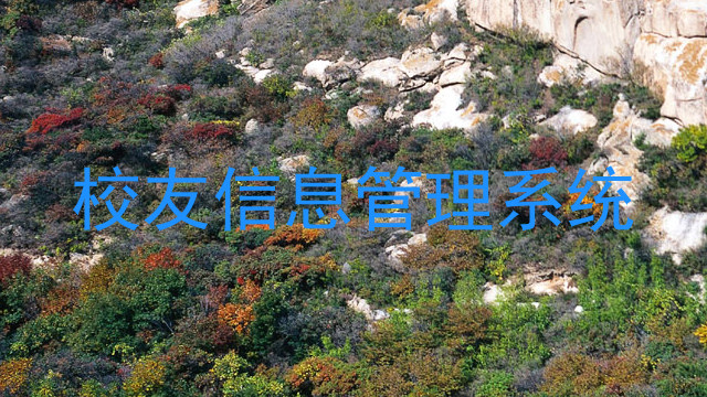 校友信息管理系统