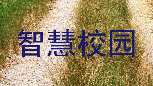 智慧校园