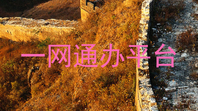 一网通办平台