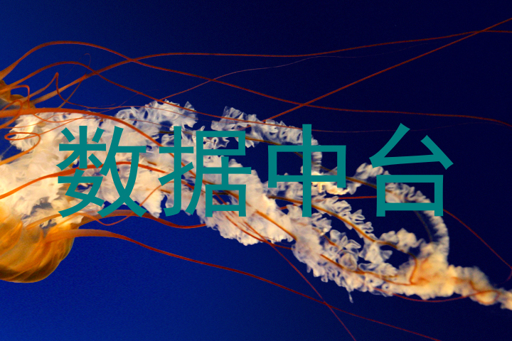 数据中台