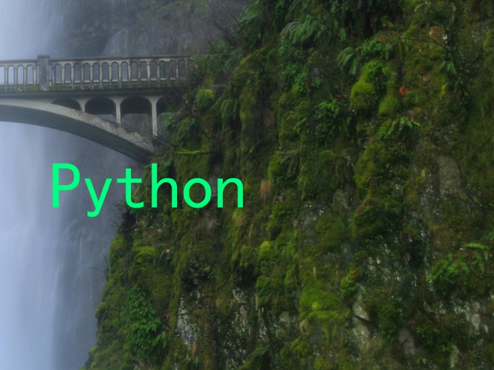 Python