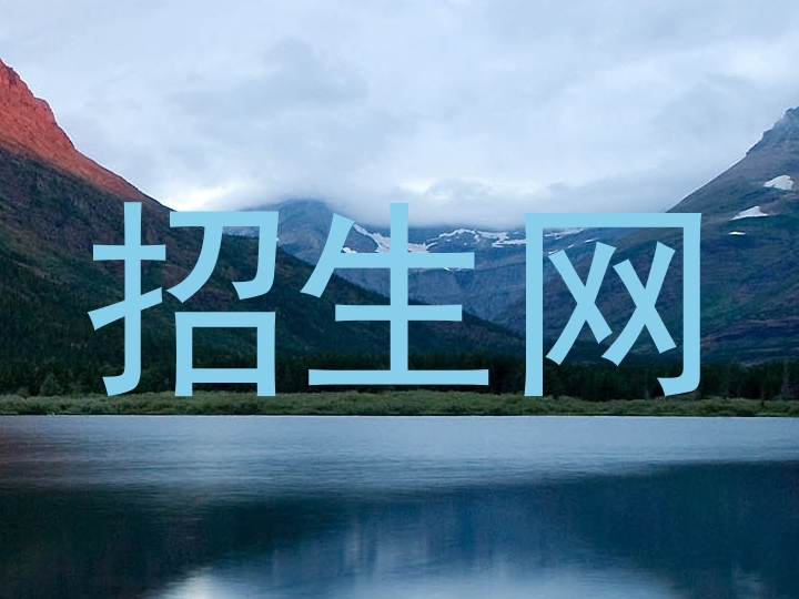 招生网