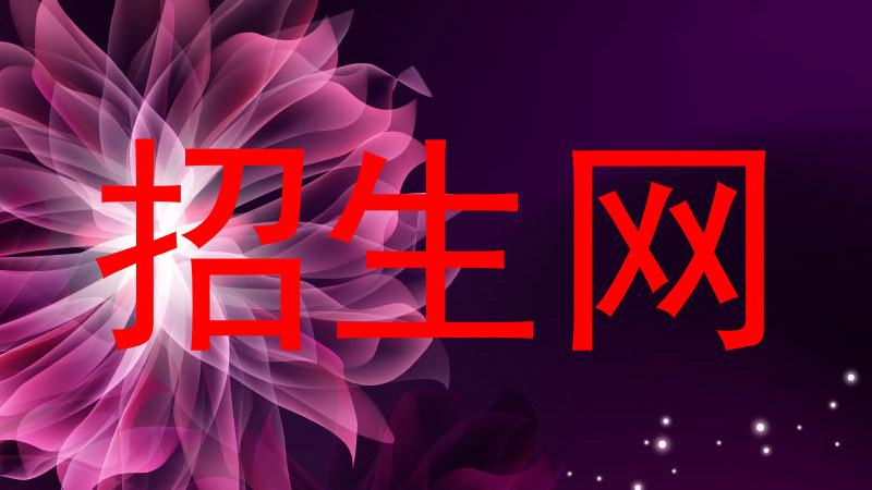 招生网
