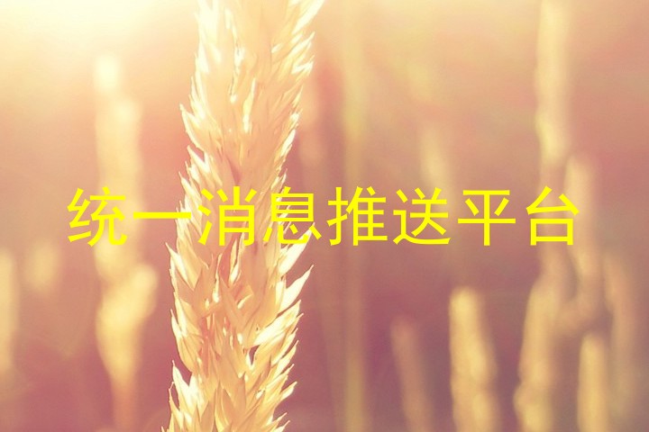 统一消息推送平台