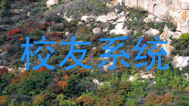 校友系统