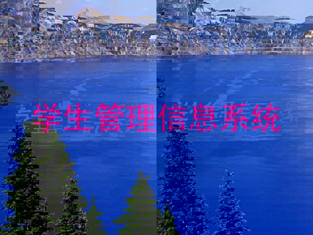 学生管理信息系统
