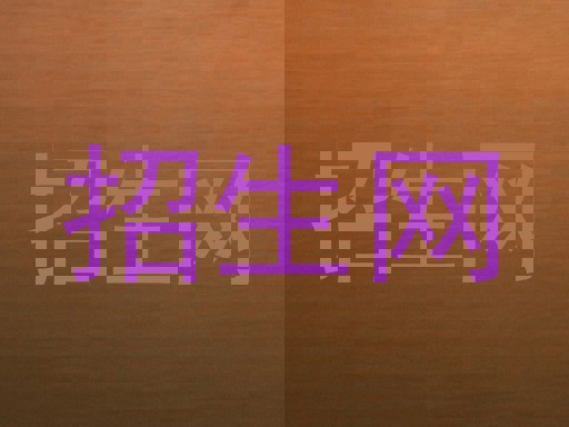 招生网
