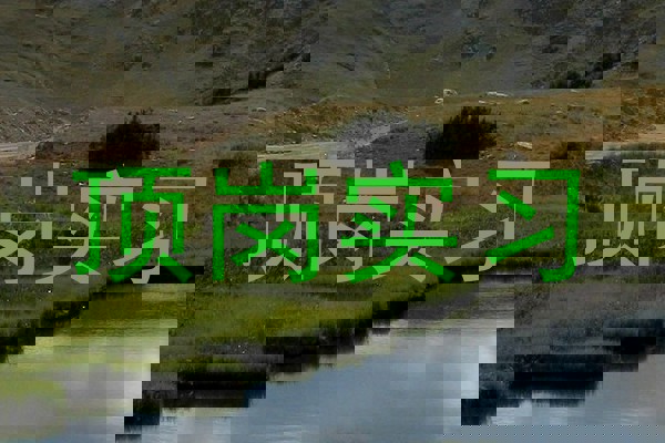 顶岗实习