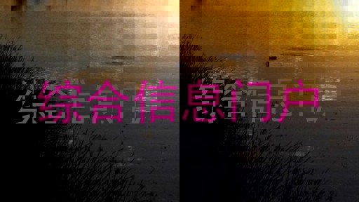 综合信息门户